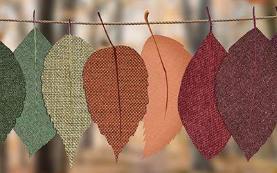 Why #choicematters, buyer’s market tips and how to avoid risk.