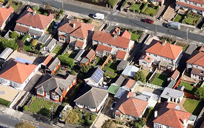 Need a renovation loan? Do your tenants have pets? Want to compare home loan features?